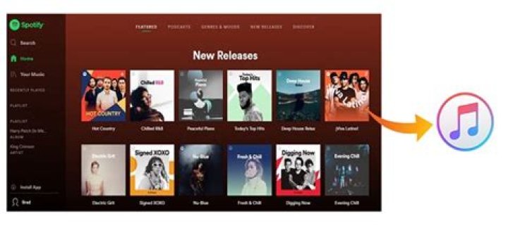 Can I transfer my Spotify playlist to iTunes?