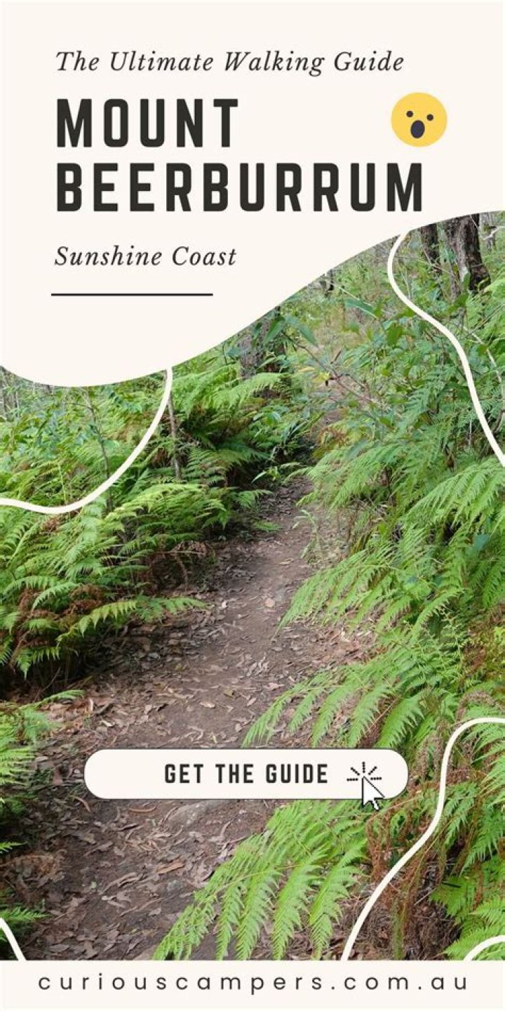 Can you drive up Mount Beerburrum?