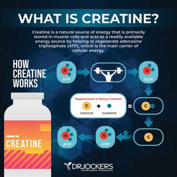 Does creatine help with memory?