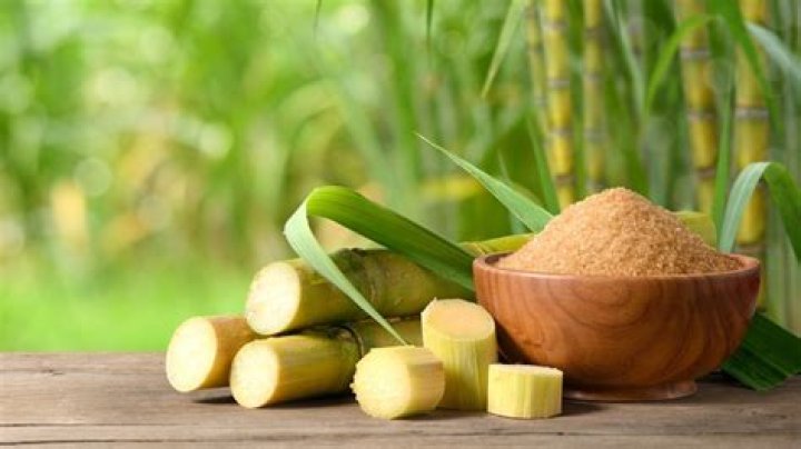 Does Sucanat raise blood sugar?