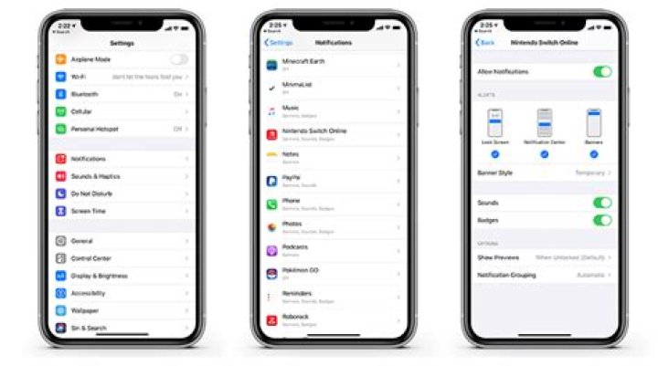 How do I enable the rotor on my iPhone?