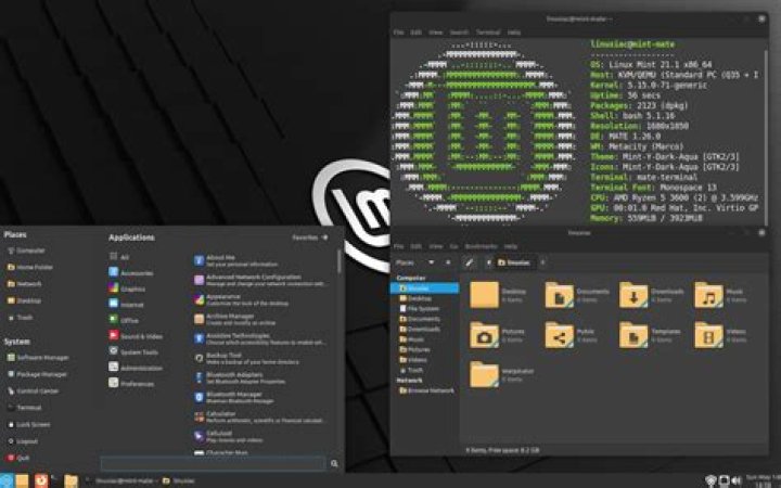 How do I run a Linux Mint in a virtual machine?
