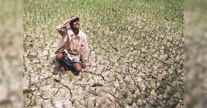 How has climate change affected Indiana?