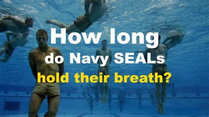 How long can a seal holds it breath?