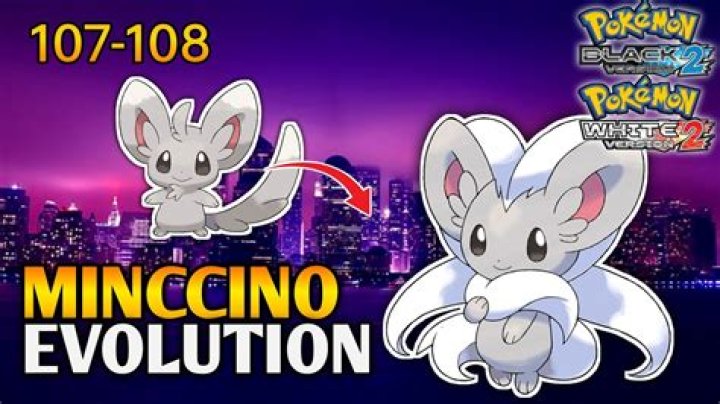 Is Minccino good Black 2?