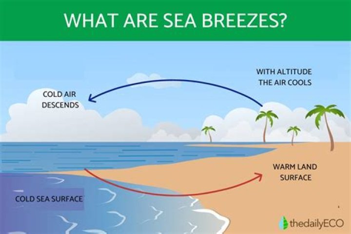 Is Sea Breeze good for your face?