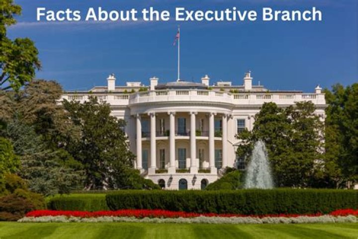 What are 4 facts about the executive branch?