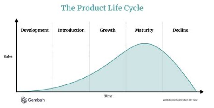 What are the 5 stages in the development life cycle?