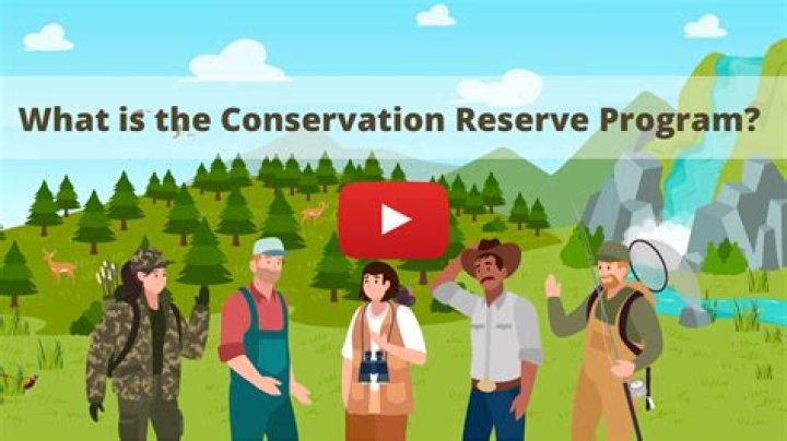 What are the effects of the Conservation Reserve Program?