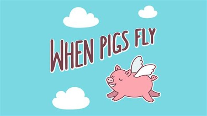 What does the saying mean when pigs fly?