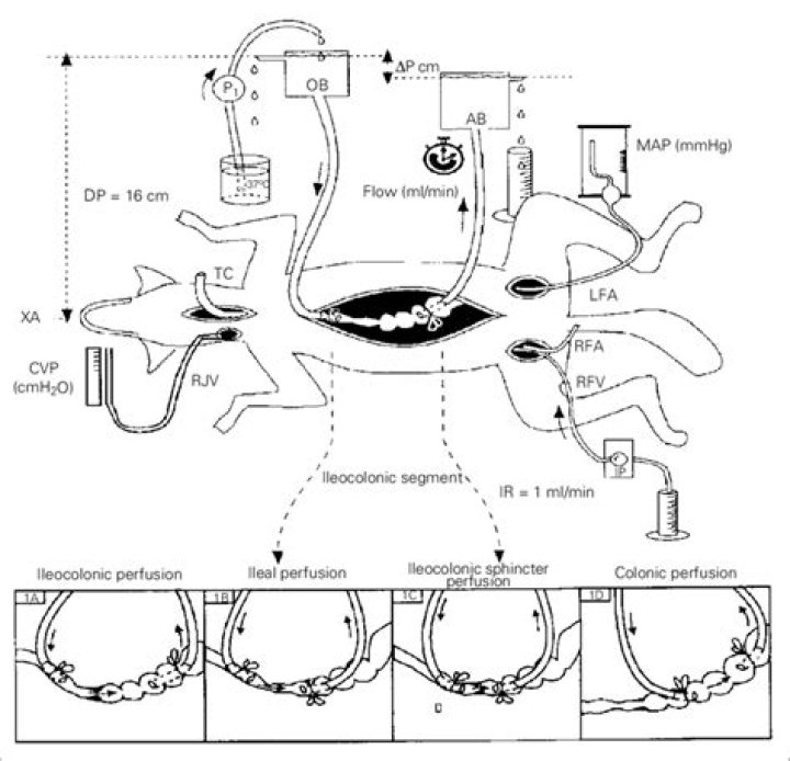 What is a barostat used for?