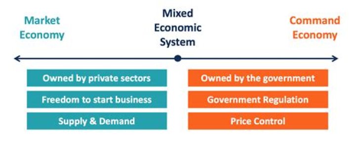 What is a mixed economy example?