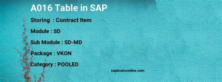 What is A016 table in SAP?