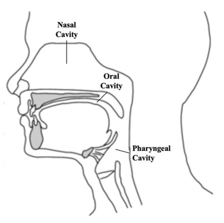 What is meant by voice resonation?