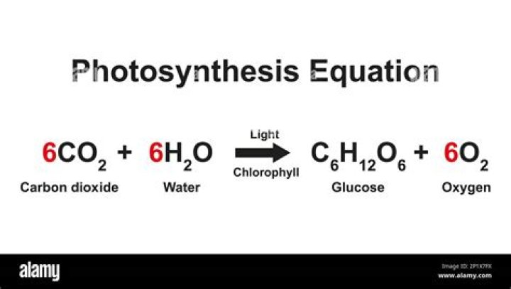 What is the delta G for photosynthesis?