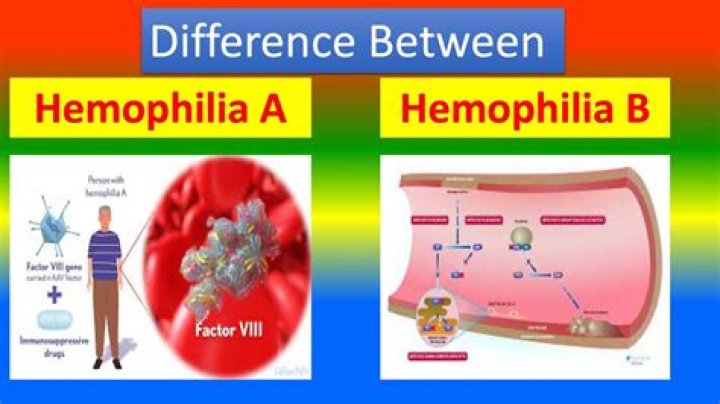 What is the difference between haemophilia A and haemophilia B?