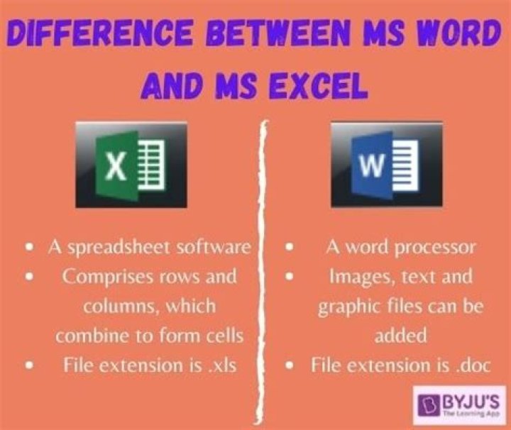 What is the difference between MS Word and Excel?