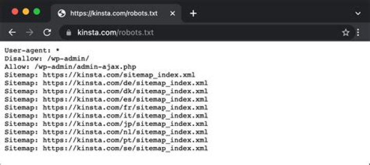 What is the format of robots txt?