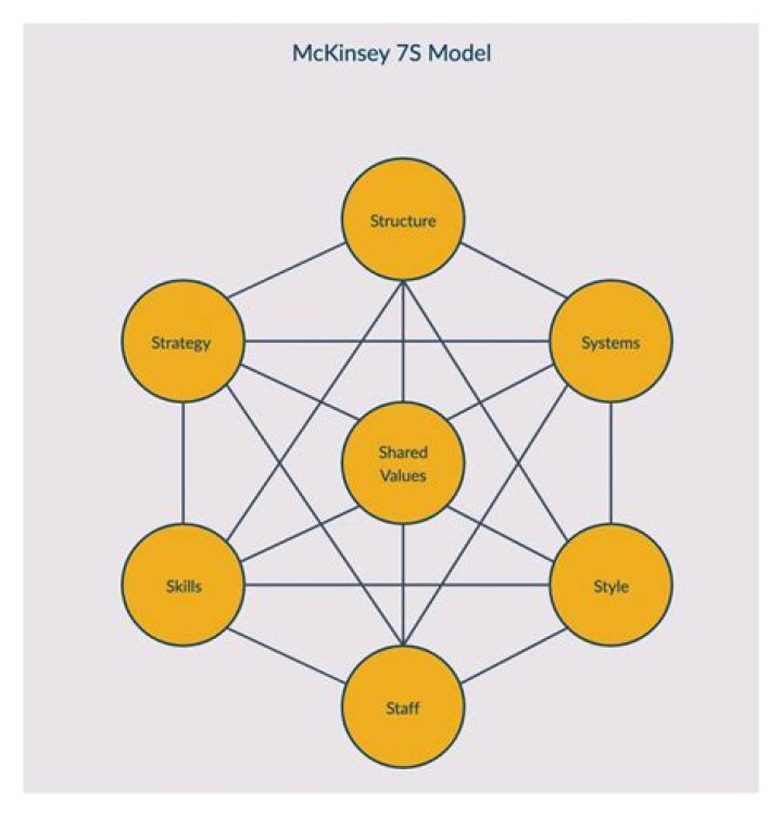 What is the McKinsey 7S Model PDF?