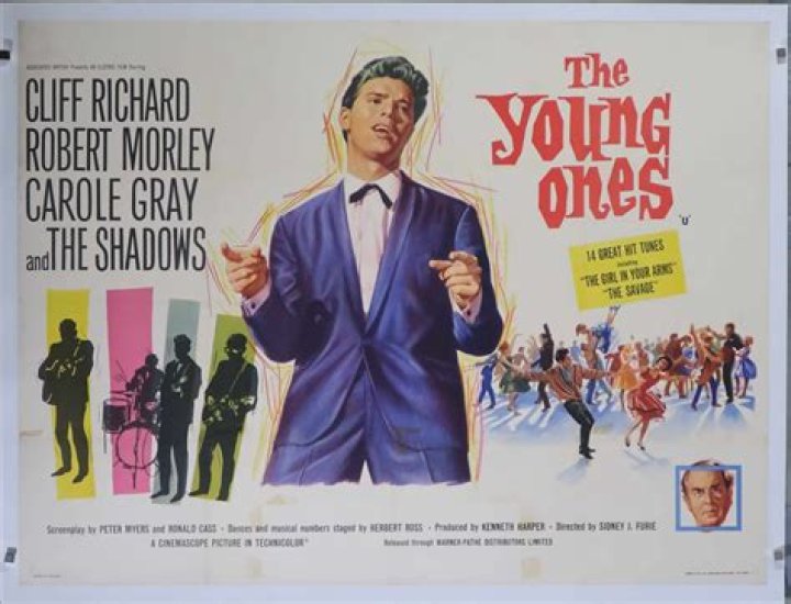 What is the movie the young ones about?