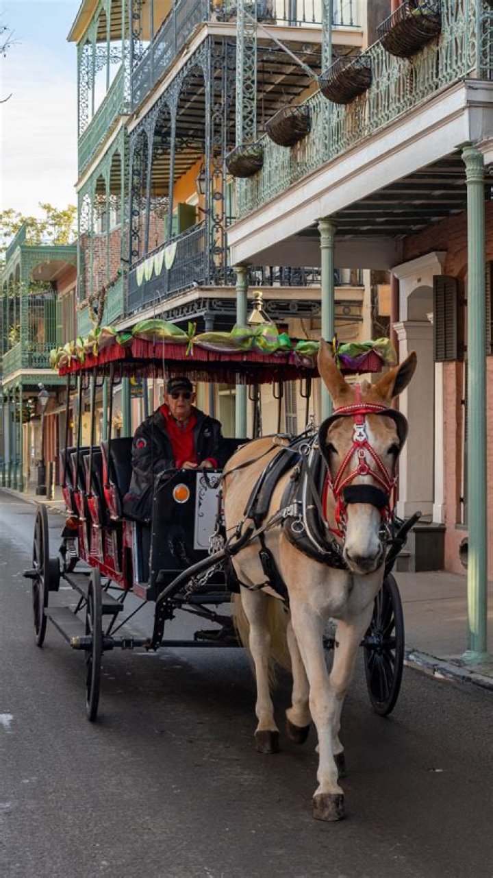 What Saint worked in New Orleans?