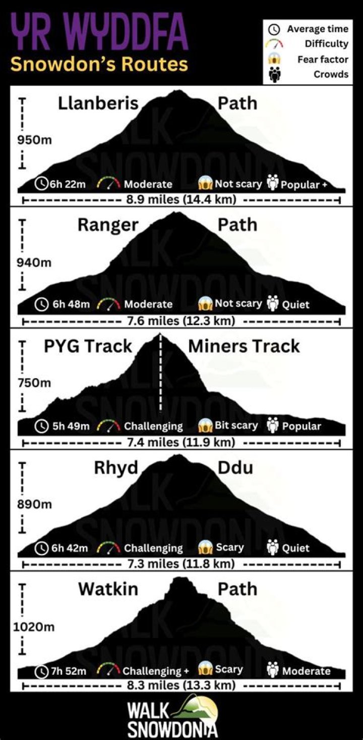 Which Snowdon path is best for dogs?