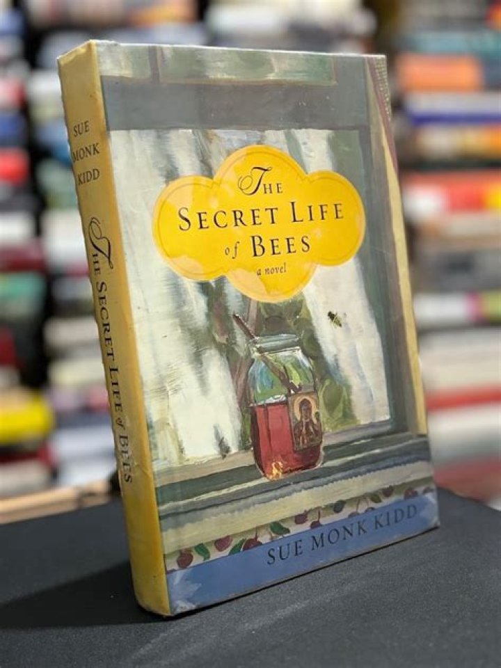 Why is The Secret Life of Bees a good book?