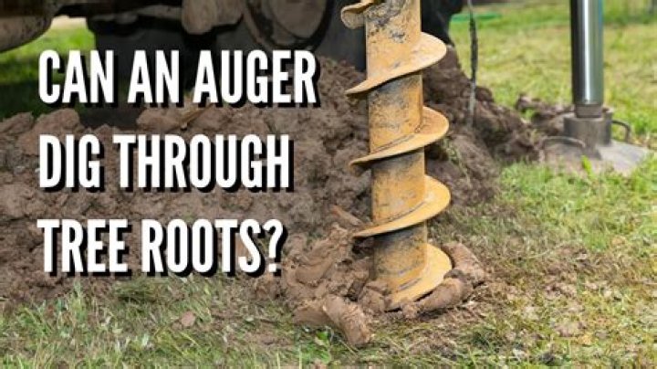 Will an auger cut through roots?